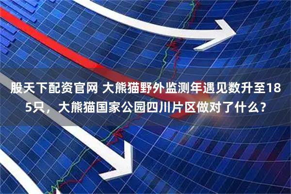 股天下配资官网 大熊猫野外监测年遇见数升至185只，大熊猫国家公园四川片区做对了什么？